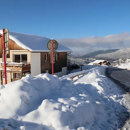 Apartment Location Les Balcons De La Mauselaine Gerardmer