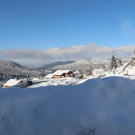 Apartment Location Les Balcons De La Mauselaine Gerardmer