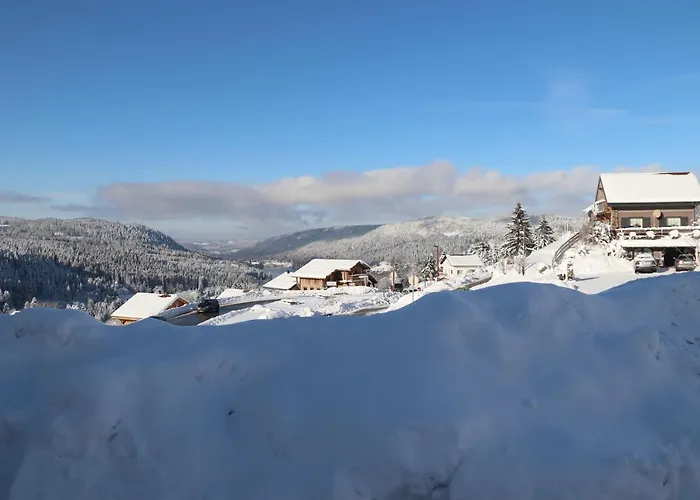 Appartement Location Les Balcons De La Mauselaine Gérardmer
